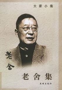 老舍简介30字，老舍简介300字左右