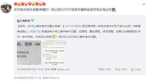 这里也有乐趣中考满分作文，这里也有乐趣作文400字