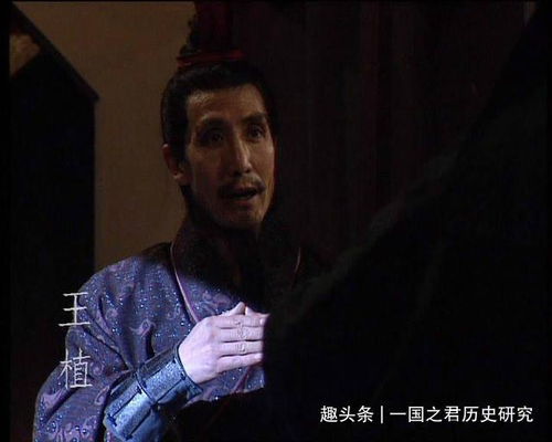 王植被谁杀，王植 简介