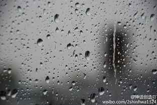 雨足是什么意思