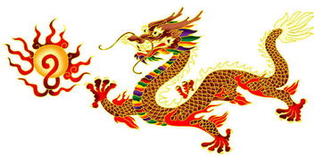 属龙年份表和年龄，属龙年份有哪些多少岁