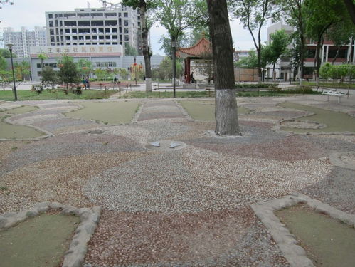 王串场街道办事处电话，王串场二手房