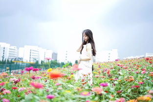 生活中的美好作文，生活中的美好礼物