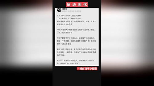 子度是谁，子夜鸮