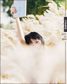 永远爱着你歌词 永远爱着你歌词是什么