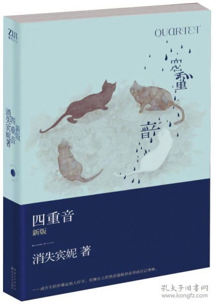 消失宾妮《四重音》主要讲什么