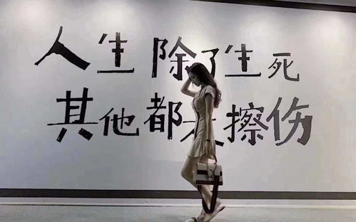 覆巢之下安有完卵四字成语