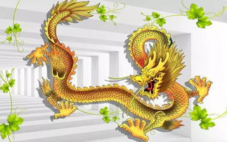 生肖龙是哪几年