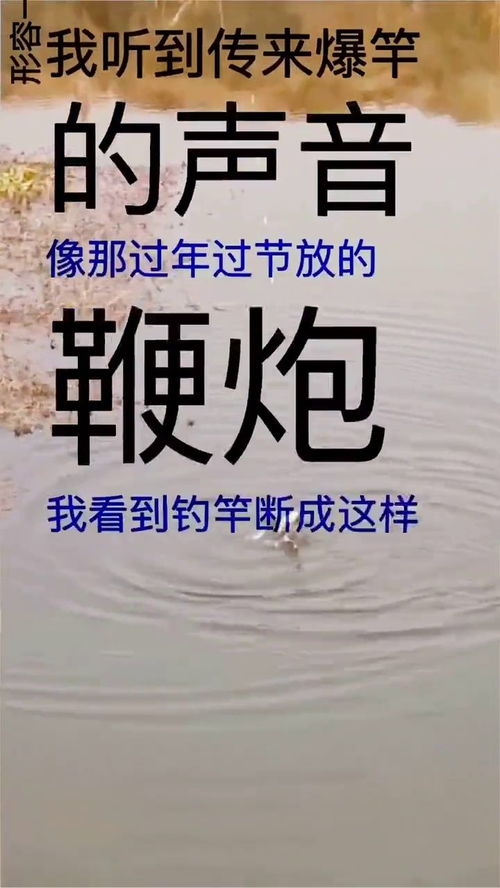 幸灾乐祸的意思是什么?
