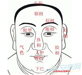 周易看面相的书哪些比较好，周易看面相预测未来