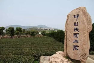 印山大墓主人，印山大墓在哪里