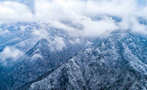 云横秦岭家何在原文