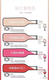 循规意思