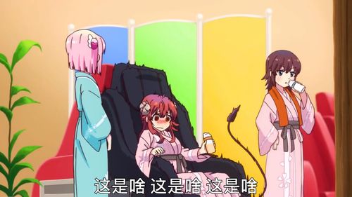 八八战略实施二十周年专项课题，八八年属什么生肖