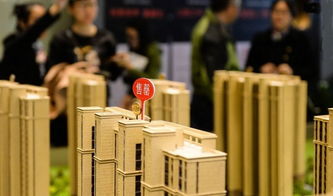 首次置业什么意思，大宗置业什么意思
