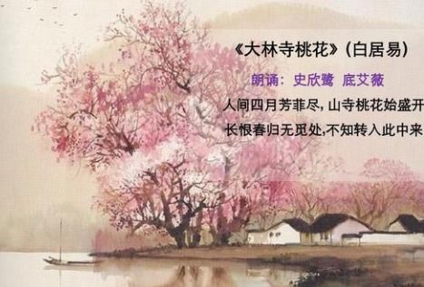 海参的参能组什么四字成语