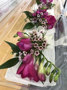 PEONYBOY的意思是什么呀
