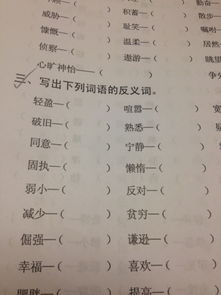 脱的反义词是什么