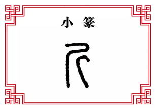 斧斤以时入山林翻译，斧斤之齐