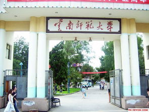 云南大学排名一览表