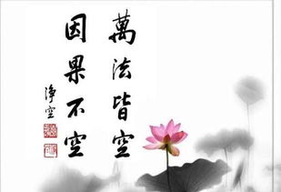 诸恶莫作众善奉行后面两句是什么，诸恶莫作众善奉行完整的句子