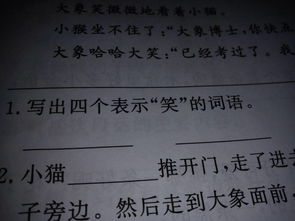团结的反义词