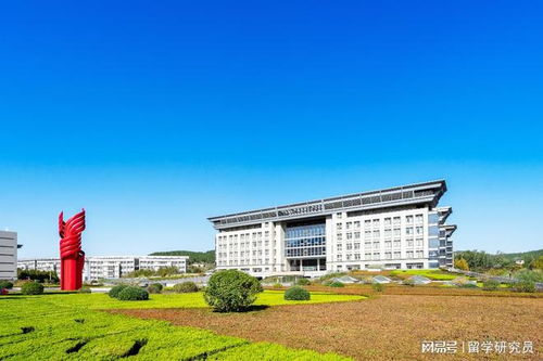 国际本科是什么意思