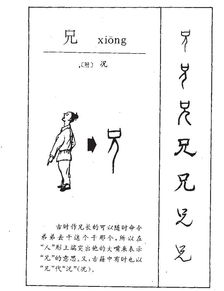 兄的笔顺
