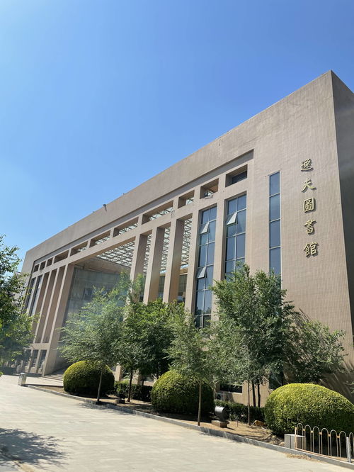国际本科3+1留学，国际本科怎么报考