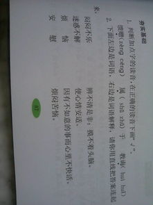我身边的小能人作文500字左右，我身边的小能人作文500字
