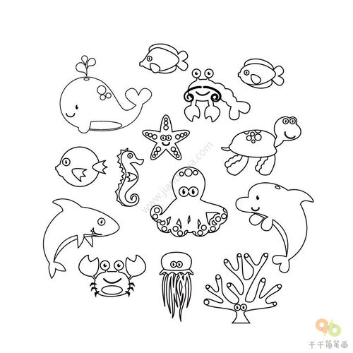 海洋动物简笔画 颜色，海洋动物简笔画怎么画