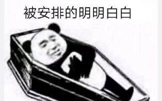 表示激动的四字词语成语有哪些，描写心情无比激动的句子