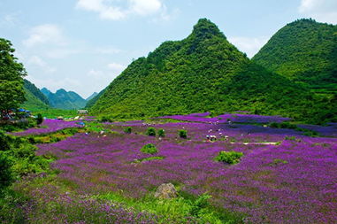 荔波县旅游景点介绍图片高清 荔波县有哪些景点
