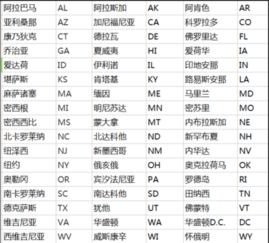 羽毛球拍中gr什么意思