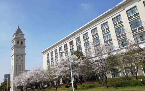 浙江越秀外国语学院怎么样能有四人寝，广州外国语学校好不好