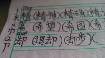 蝠能组什么词?
