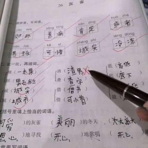 对组词三个字，对组词怎么组词语