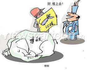 惯例的意思