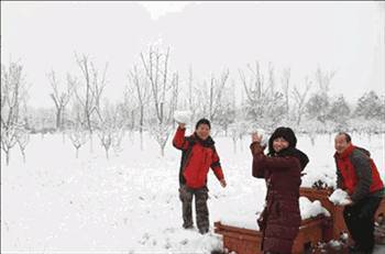 大年初一没下雪