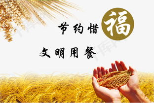 节约光盘手抄报内容 节约粮食光盘手抄报内容资料