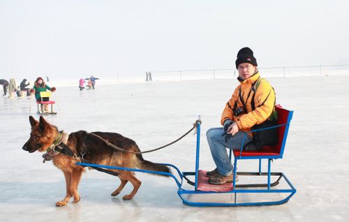 爬犁和雪橇的区别，爬犁放山坡