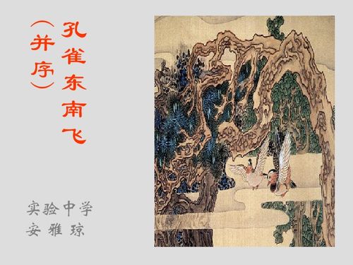 孔雀东南飞并序翻译