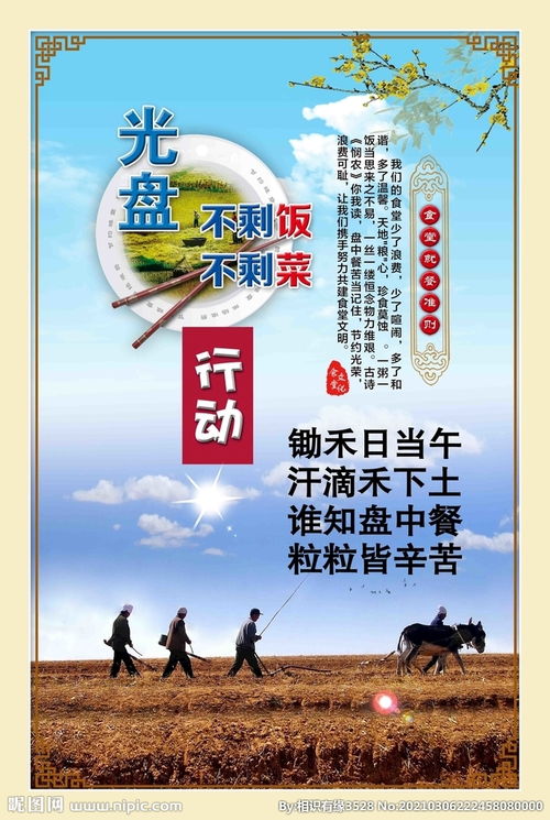 光盘行动海报内容怎么写?光盘行动手抄报的内容该写什么