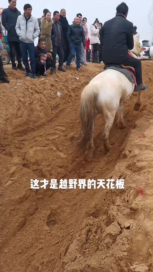 骑白马的不一定是王子 也可能是唐僧 什么意思