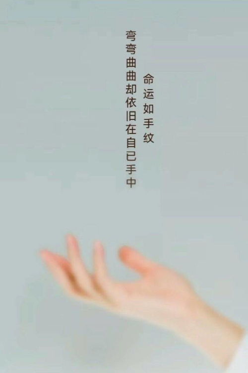 不患寡而患不均,不患贫而患不安意思，不患贫而患不均