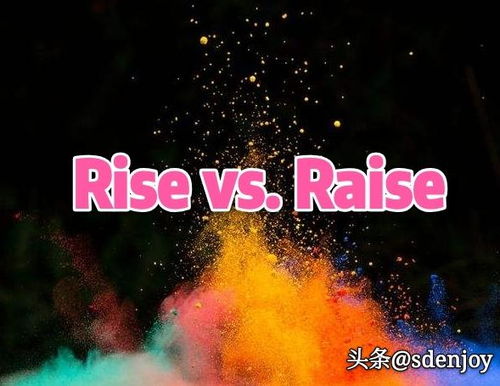 德州raise是什么意思，德扑raise是什么意思