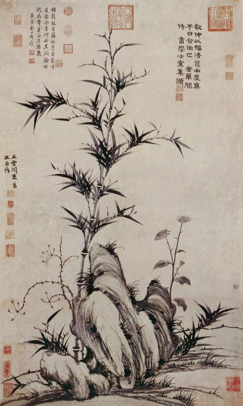 淤潜僧绿筠轩的意思