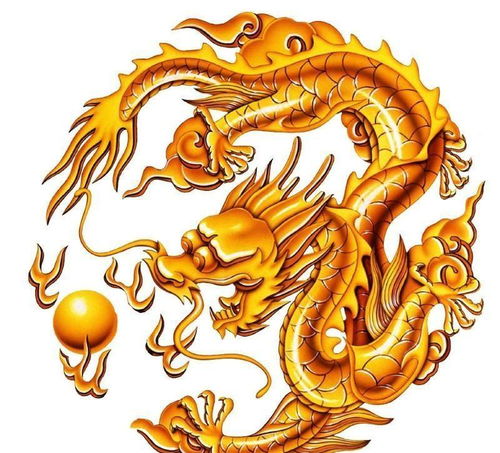 五爪金龙m416，五爪金龙是几级保护动物