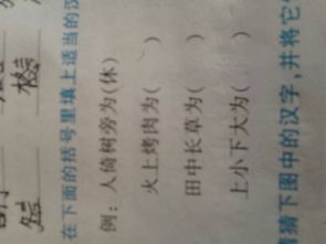 兴字组什么词