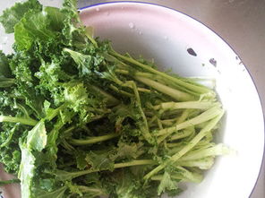 苔菜怎么做好吃，苔菜的营养价值和功效